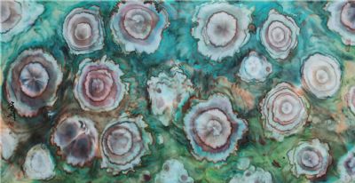 沈志斌 副主席 作品 7